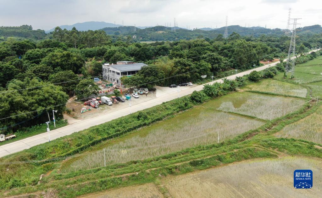 欢迎您大红鹰